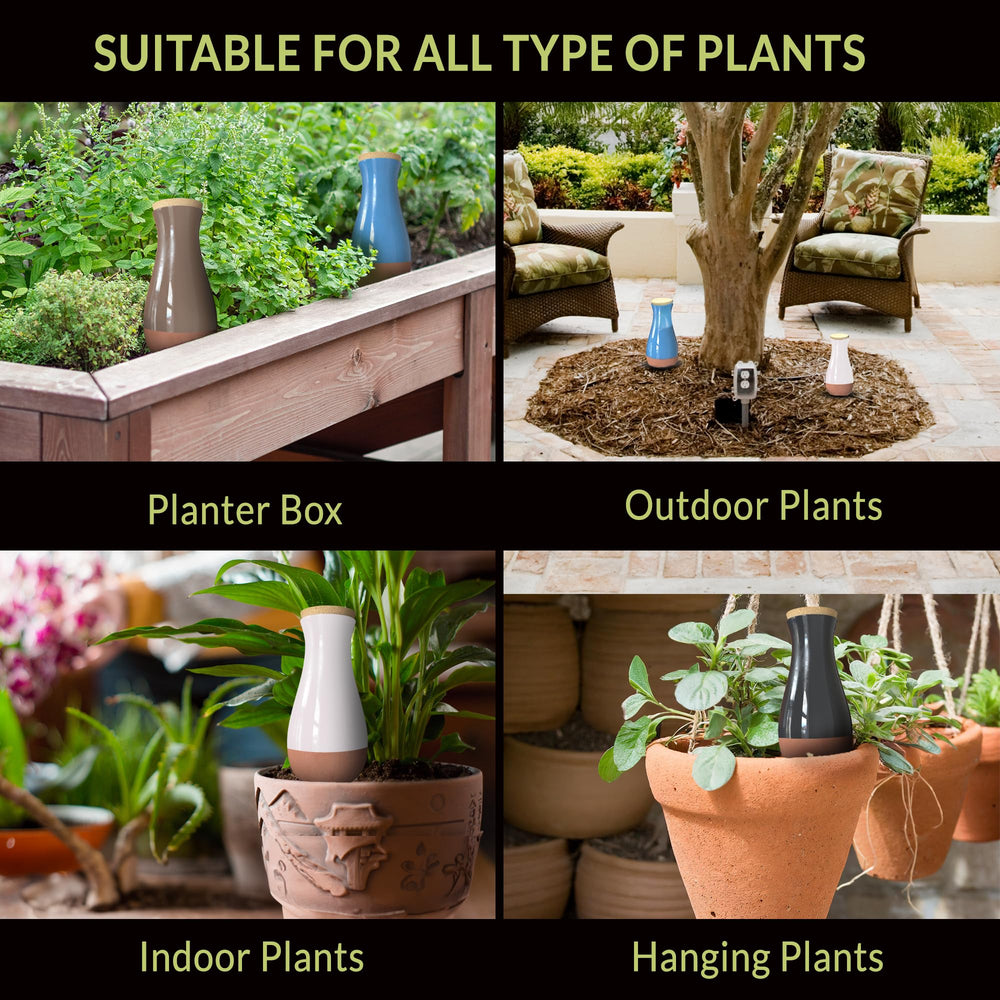 SMARTILIVING set of four ollas grouped to show multiple-plant coverage