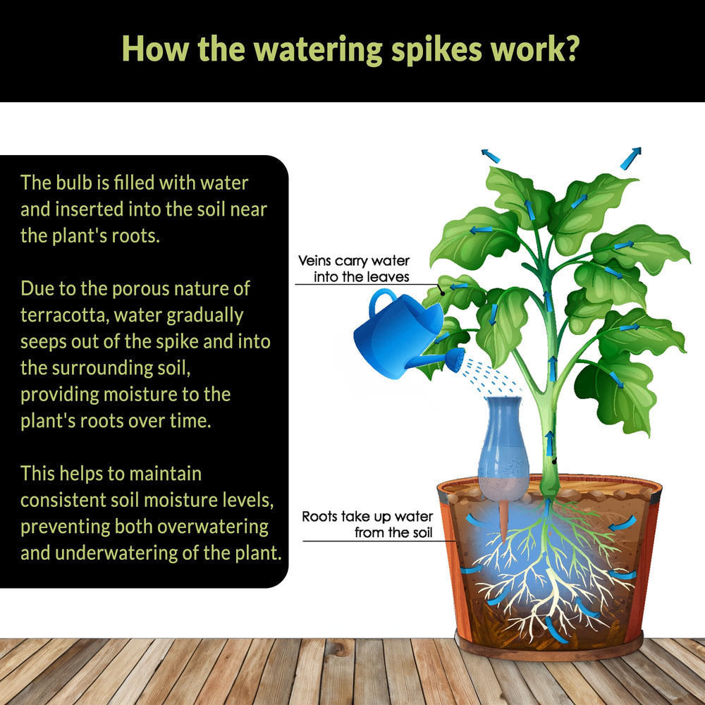 SMARTILIVING bulb inserted in large indoor planter demonstrating hands-free plant care