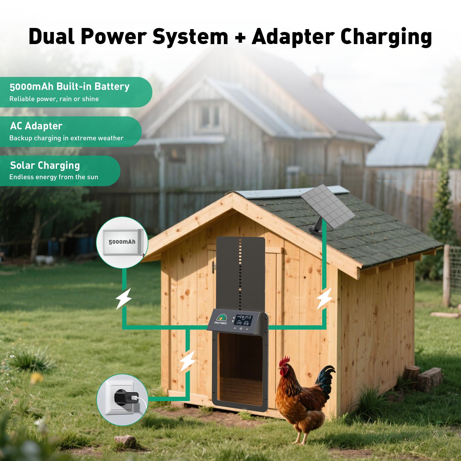 SMILE FOREST installed coop door securing chickens from predators