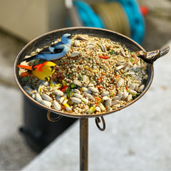 SMQLJXC cast iron base showing weight and sturdy stability for outdoors