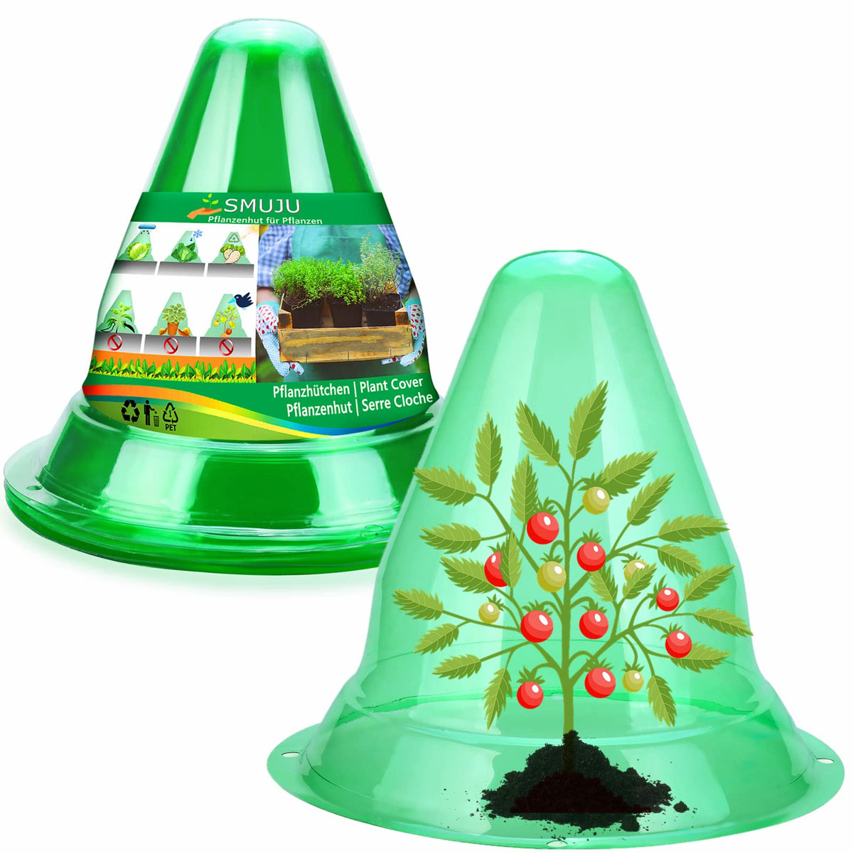 SMUJU front view clear cloche protecting seedlings with sunlight benefit