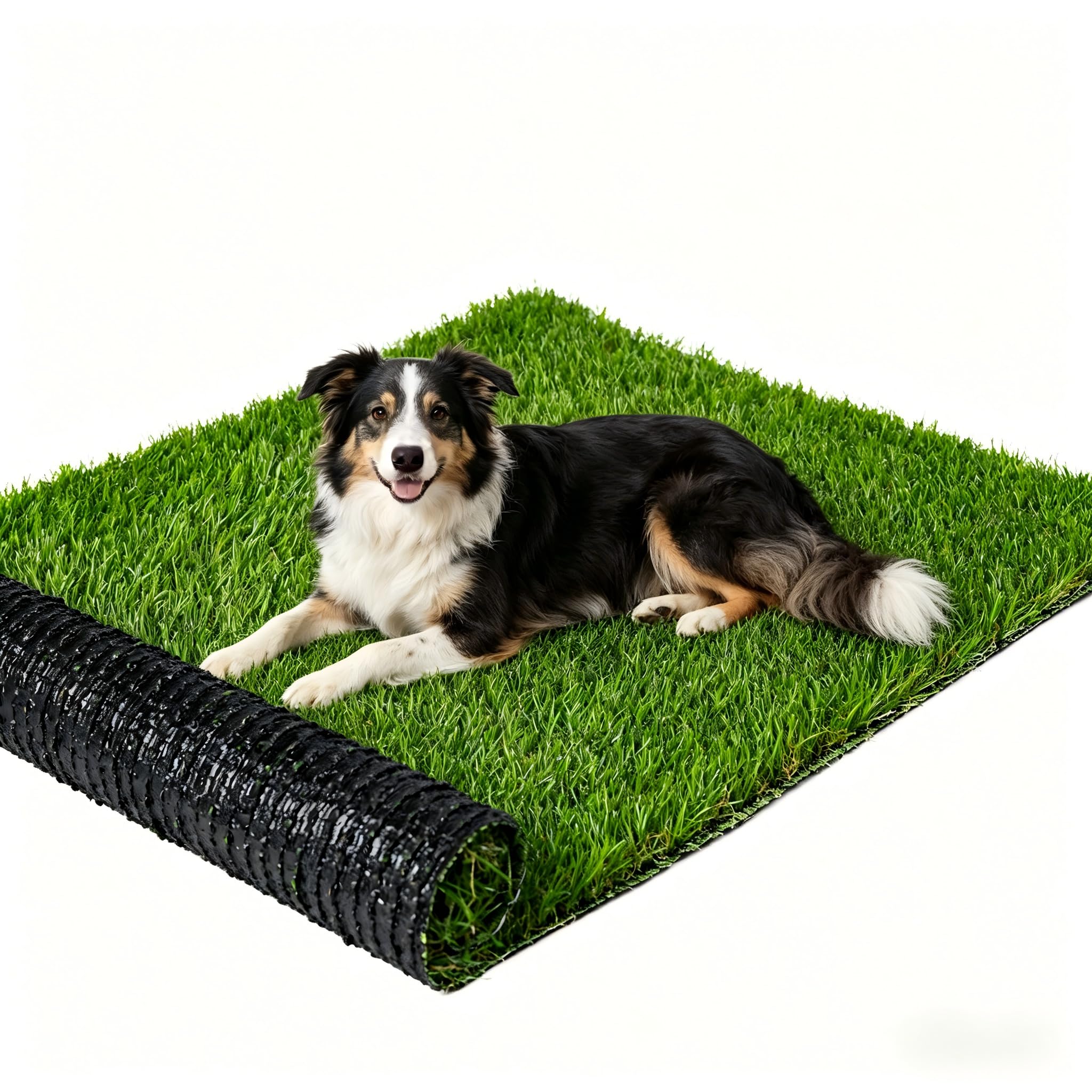 Snailpipi front view showing turf panel and neat green surface benefit