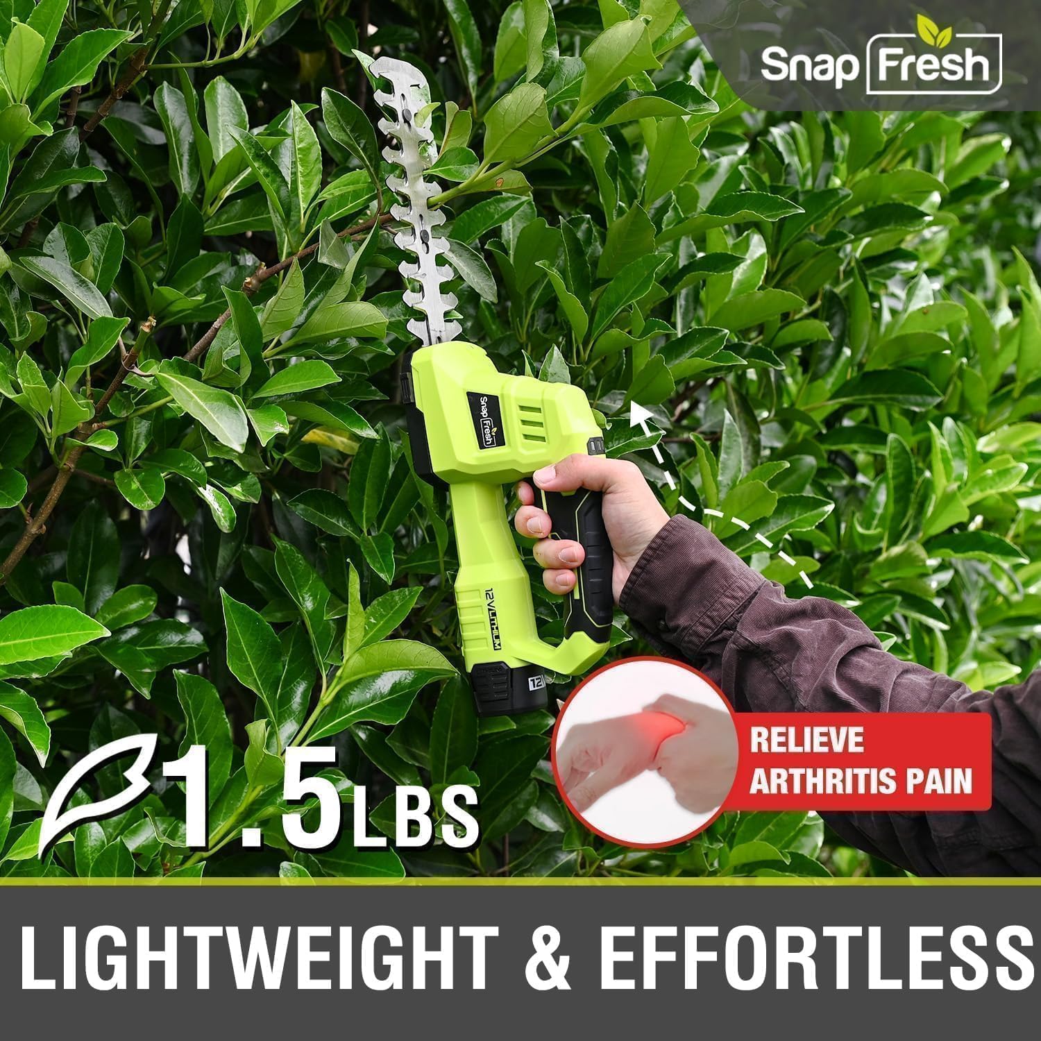 SnapFresh scale comparison held in hand to show lightweight 1.5 lb portability