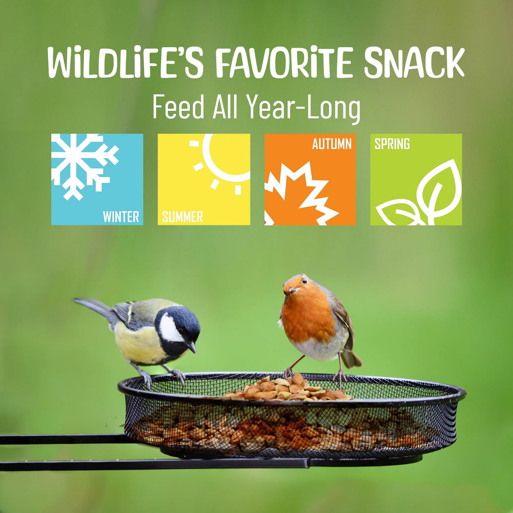 Backyard feeding station with Sneaky Mango peanuts and visiting birds, enhances observation