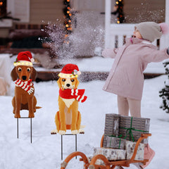 Soaoo installed in lawn at dusk, solar lights create welcoming holiday ambiance