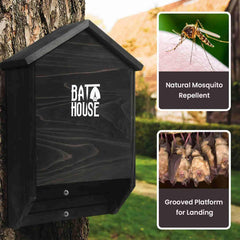 Sobalai internal chambers detail showing roosting alcoves and bat-friendly surfaces