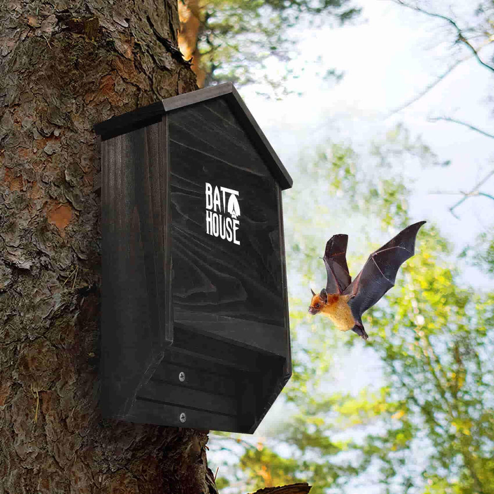 Sobalai bat house in garden setting illustrating wildlife-friendly benefit