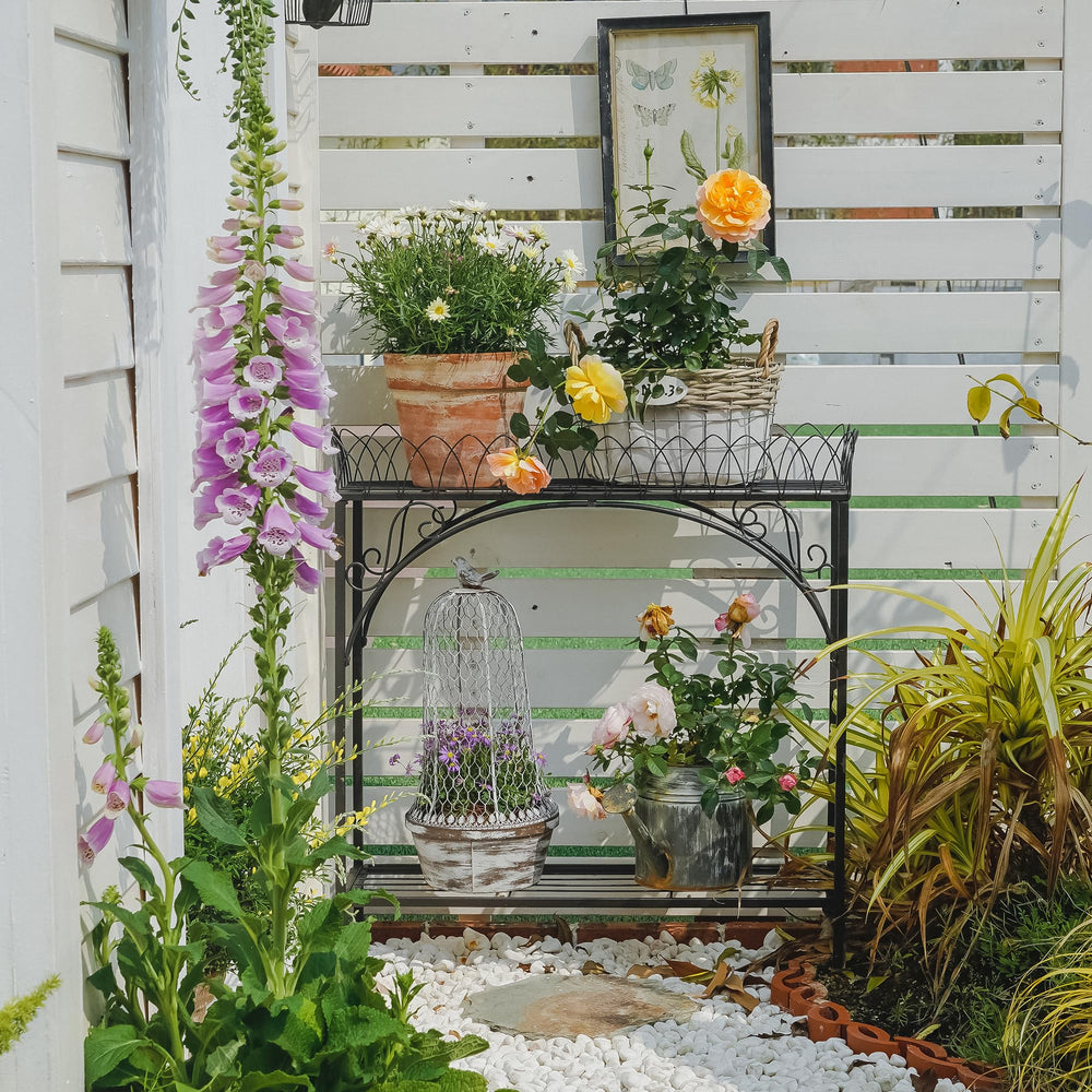 SOFFEE GARDEN top tier holding succulents to show layered planting and improved visibility