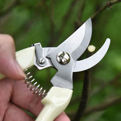 SoftSense stainless-steel blade close-up showing sharp edge for clean, precise plant cuts
