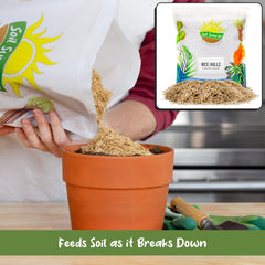Soil Sunrise rice hulls used as mulch around plants conserving moisture
