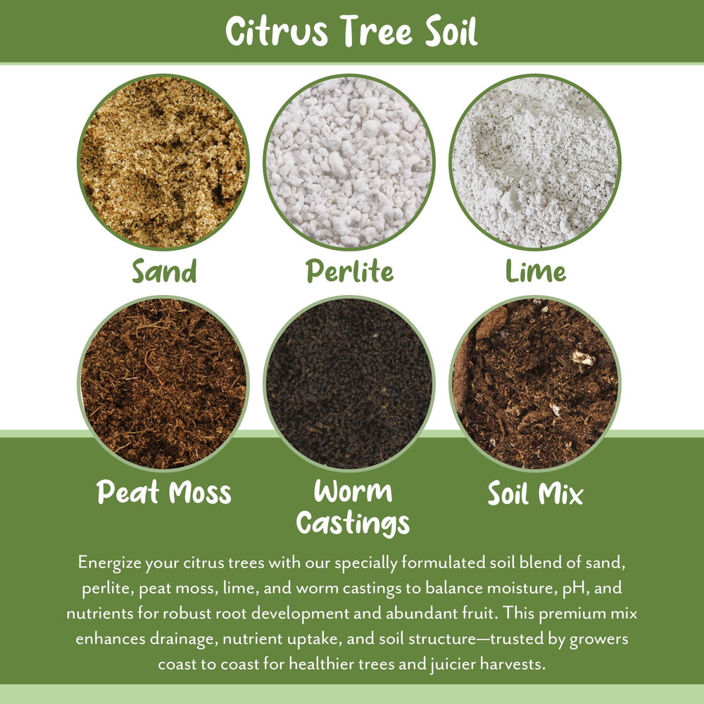Soil Sunrise bag label showing ingredient list and citrus blend