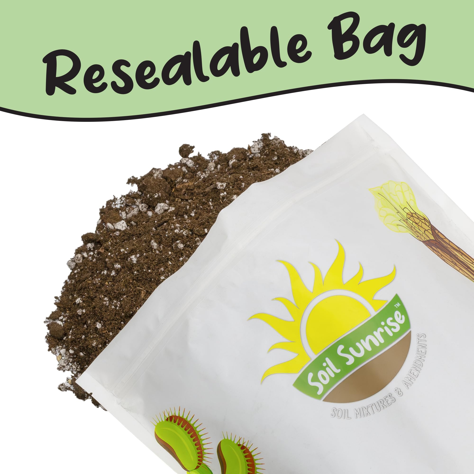 Soil Sunrise used on a balcony with an olive plant to illustrate urban container gardening