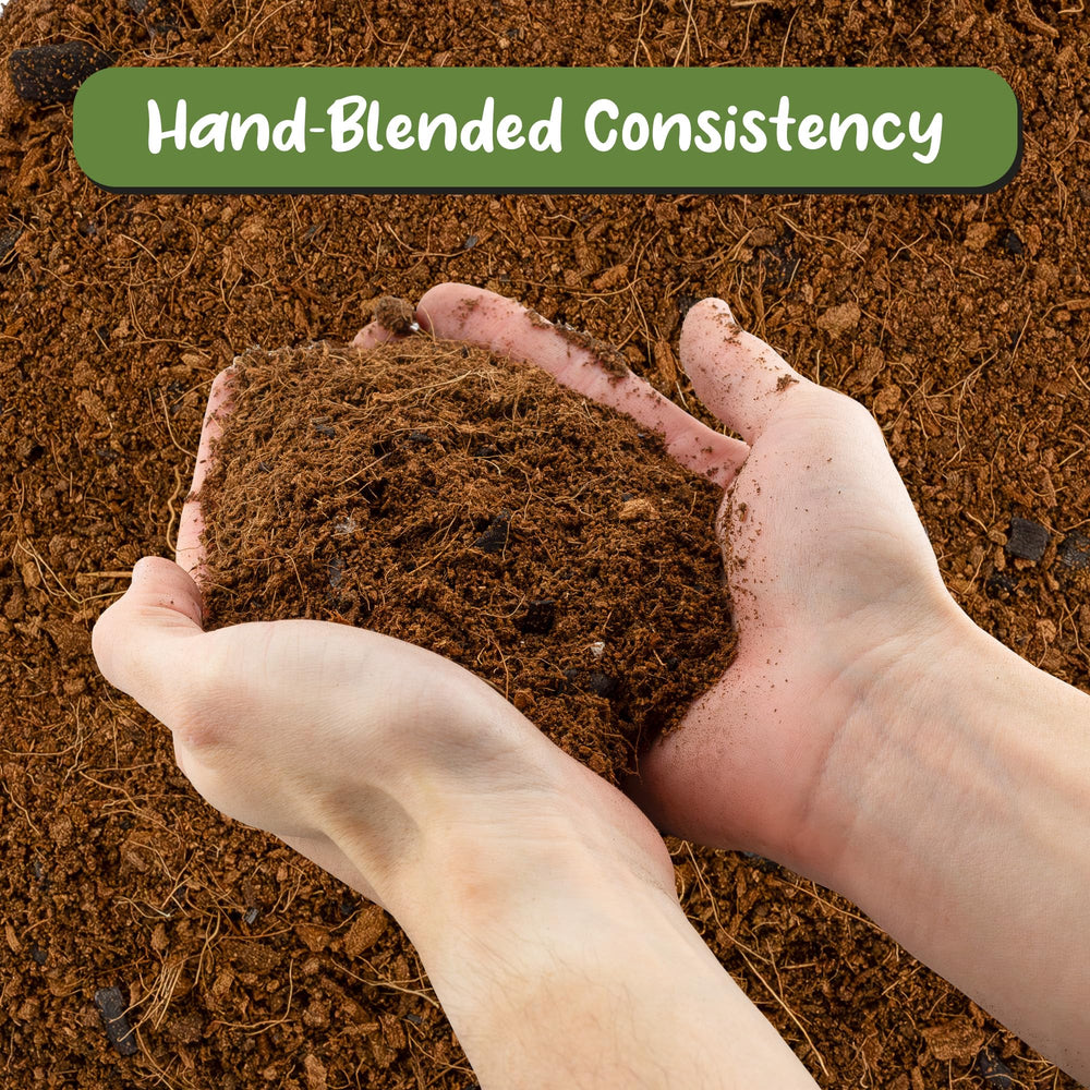 Soil Sunrise horticultural charcoal detail for odor control