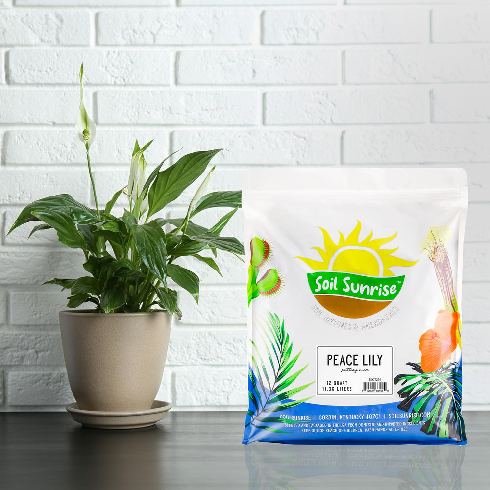 Soil Sunrise close-up texture of peat and perlite for consistent moisture retention