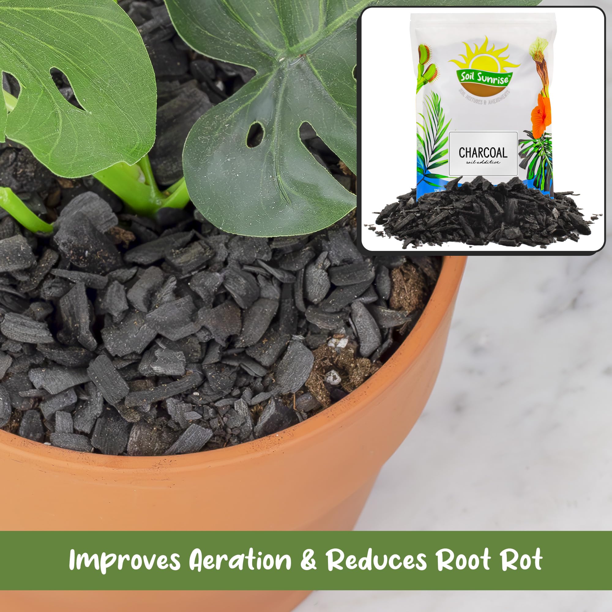Soil Sunrise in orchid pot demonstrating improved aeration and root health