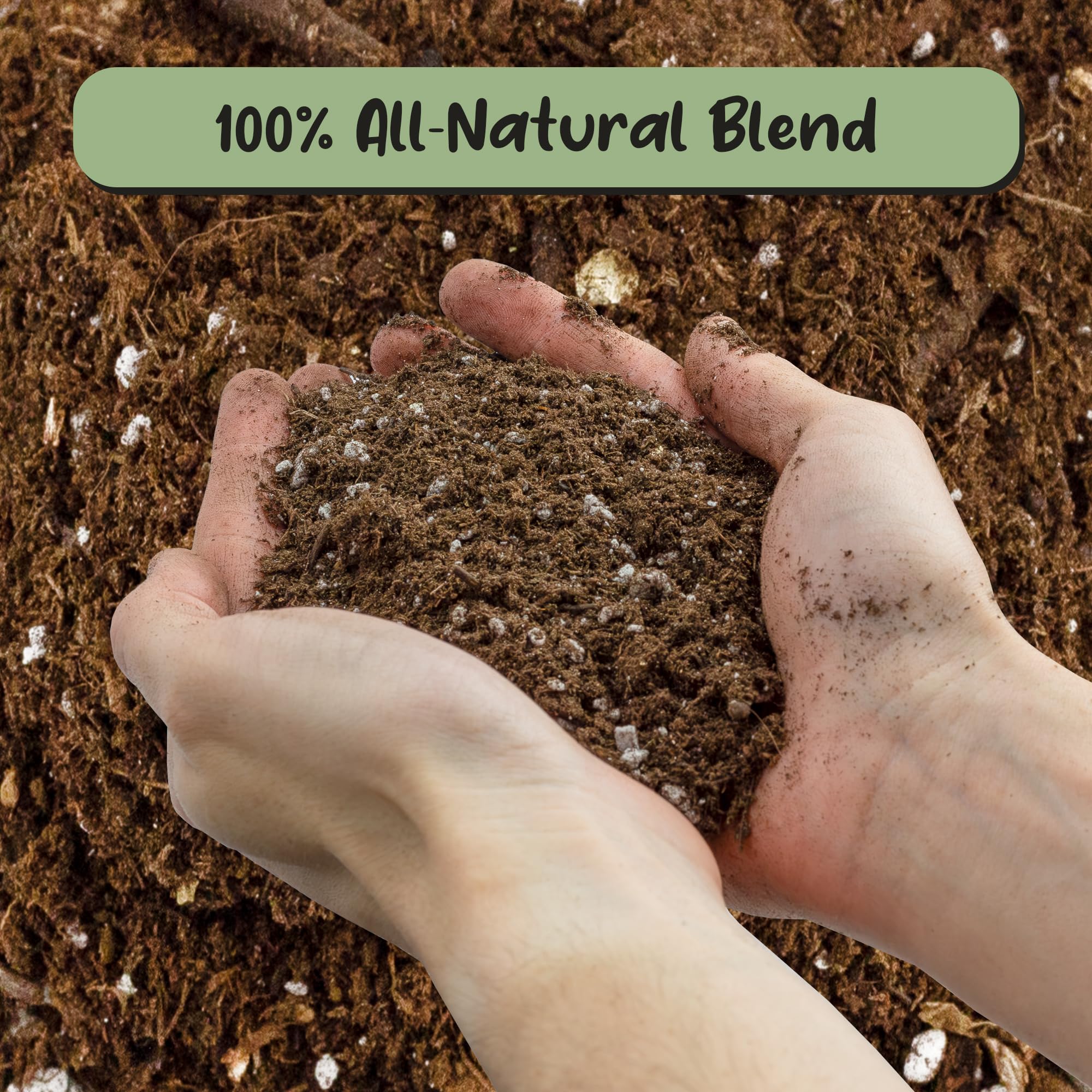 Soil Sunrise being poured into a pot during planting to improve container drainage
