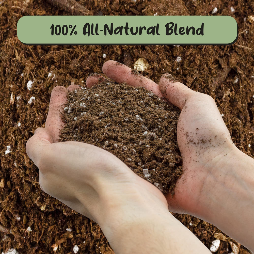 Soil Sunrise being poured into a pot during planting to improve container drainage