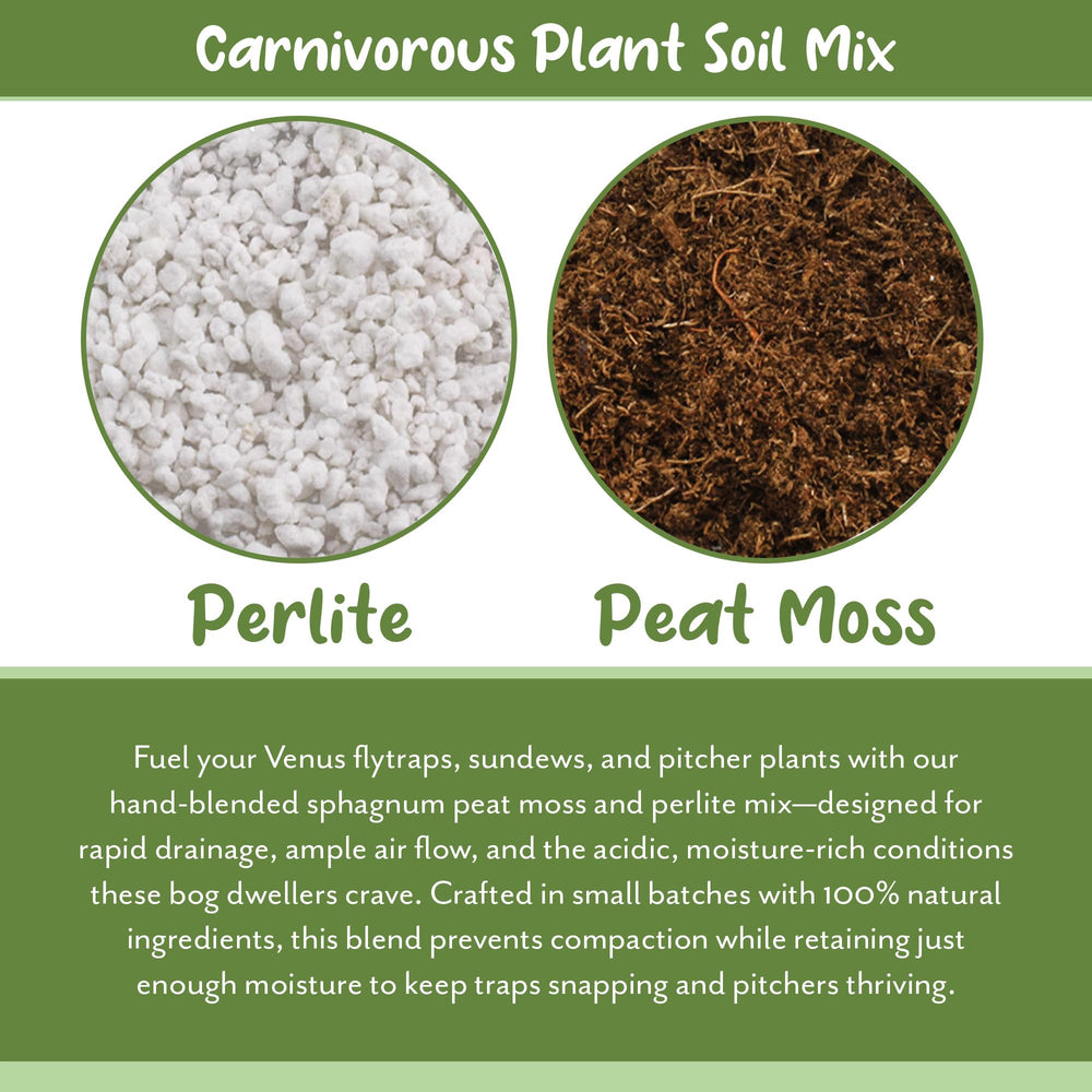 Soil Sunrise used in a Venus fly trap pot promoting healthy trap growth