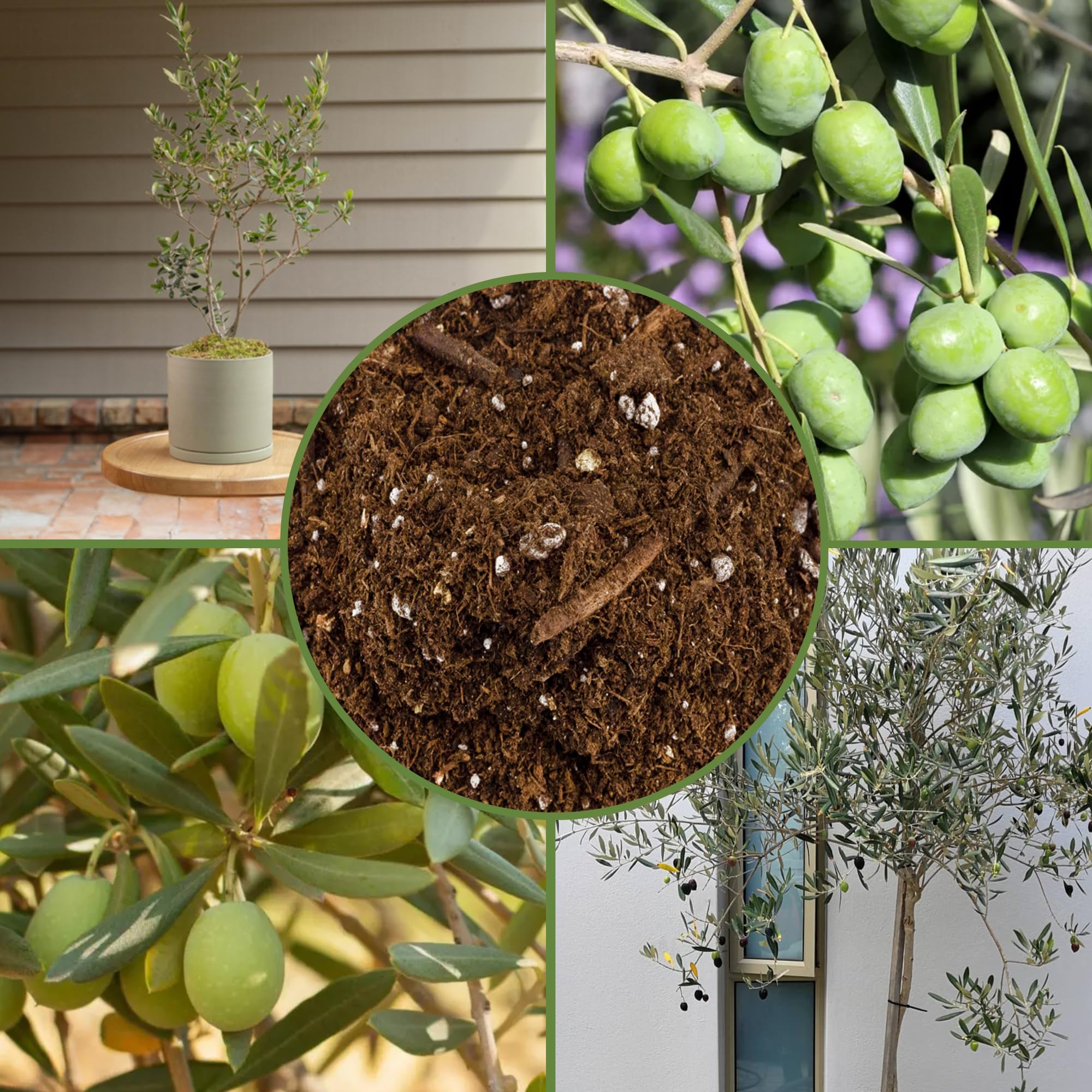 Soil Sunrise label and ingredients list visible to confirm natural components and suitability