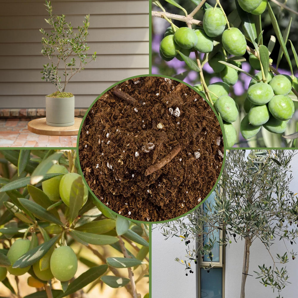 Soil Sunrise label and ingredients list visible to confirm natural components and suitability