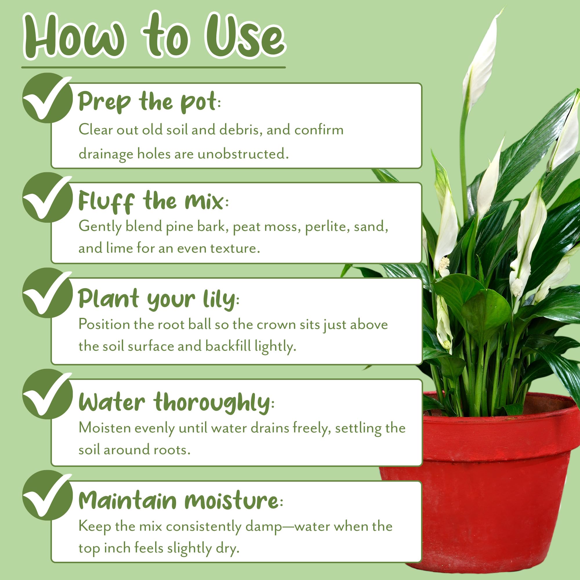 Soil Sunrise ingredients label close-up highlighting natural, chemical-free formula