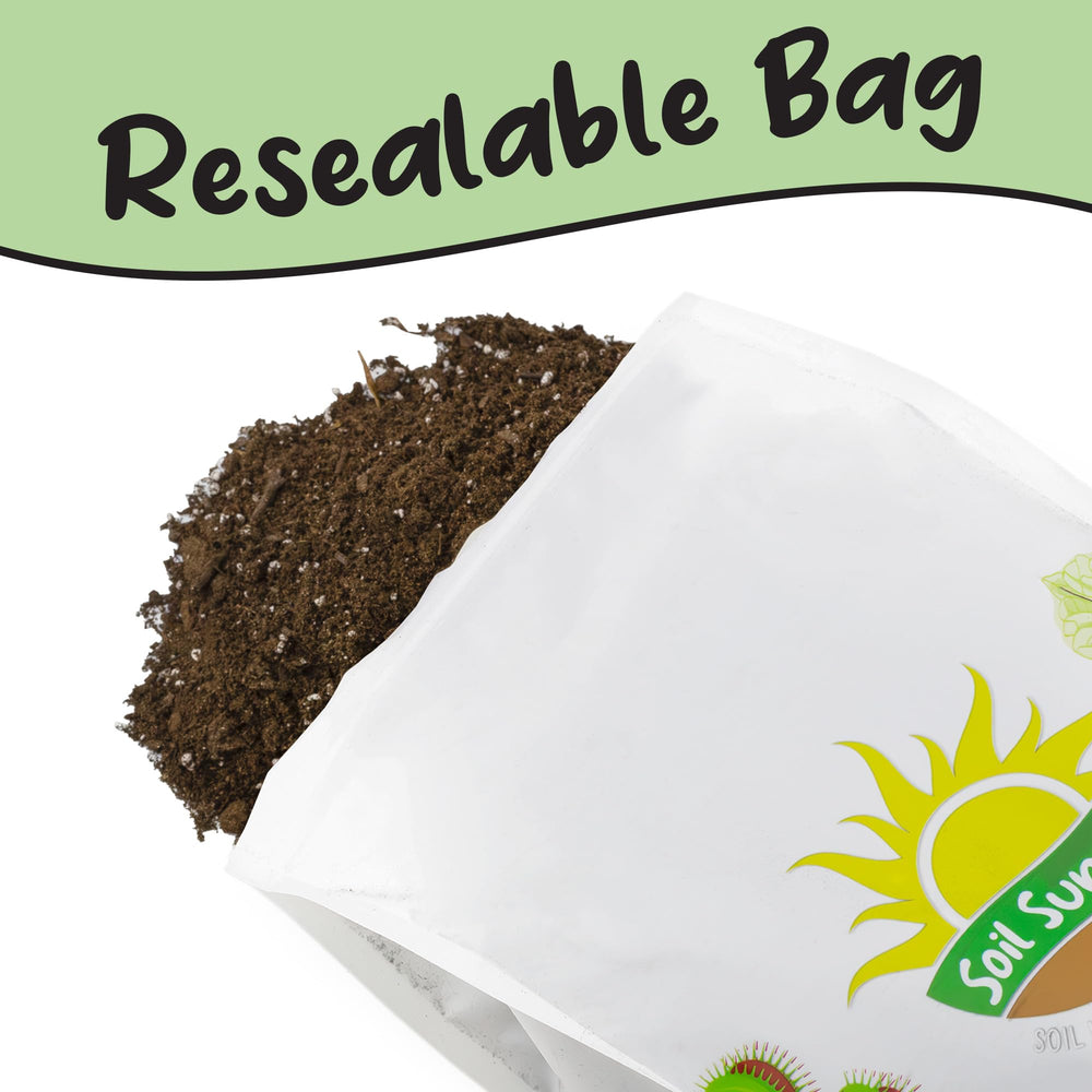 Soil Sunrise in an indoor planter setting showing attractive home décor compatibility