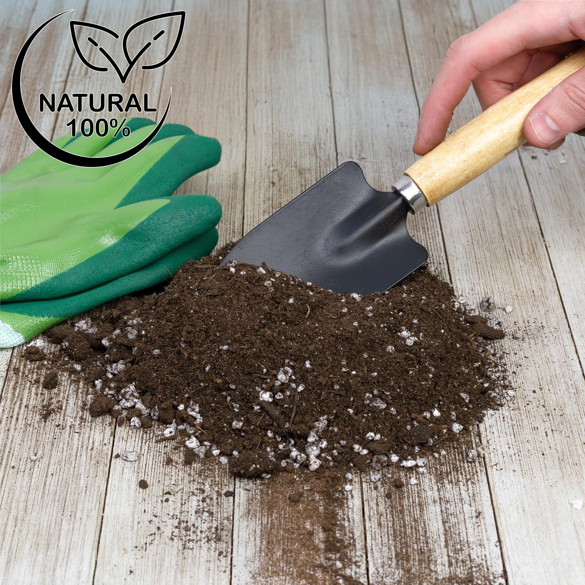 Soil Sunrise in a bright windowsill setting inspiring indoor gardening