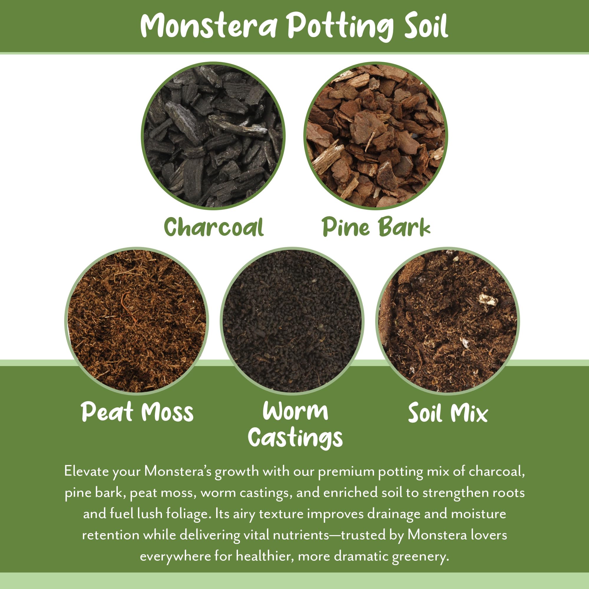 Soil Sunrise demonstrating quick drainage in a potted Monstera setup