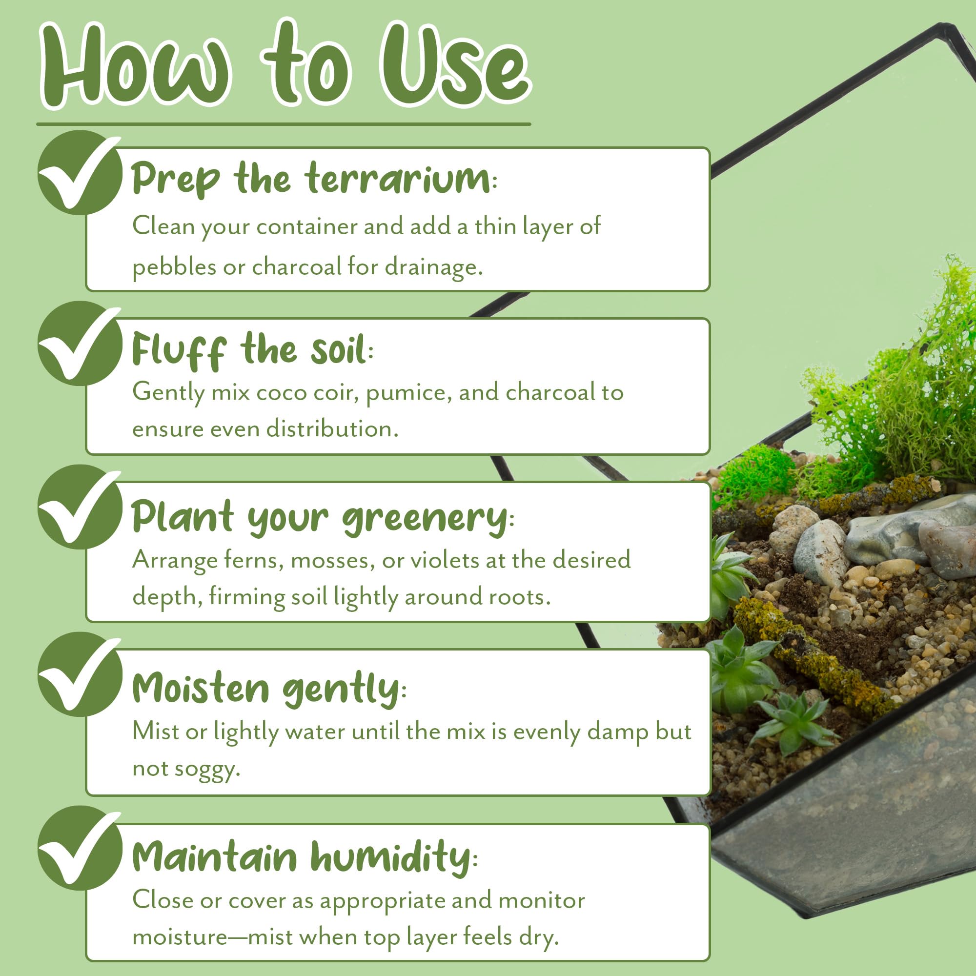 Soil Sunrise in open terrarium showing healthy plant support