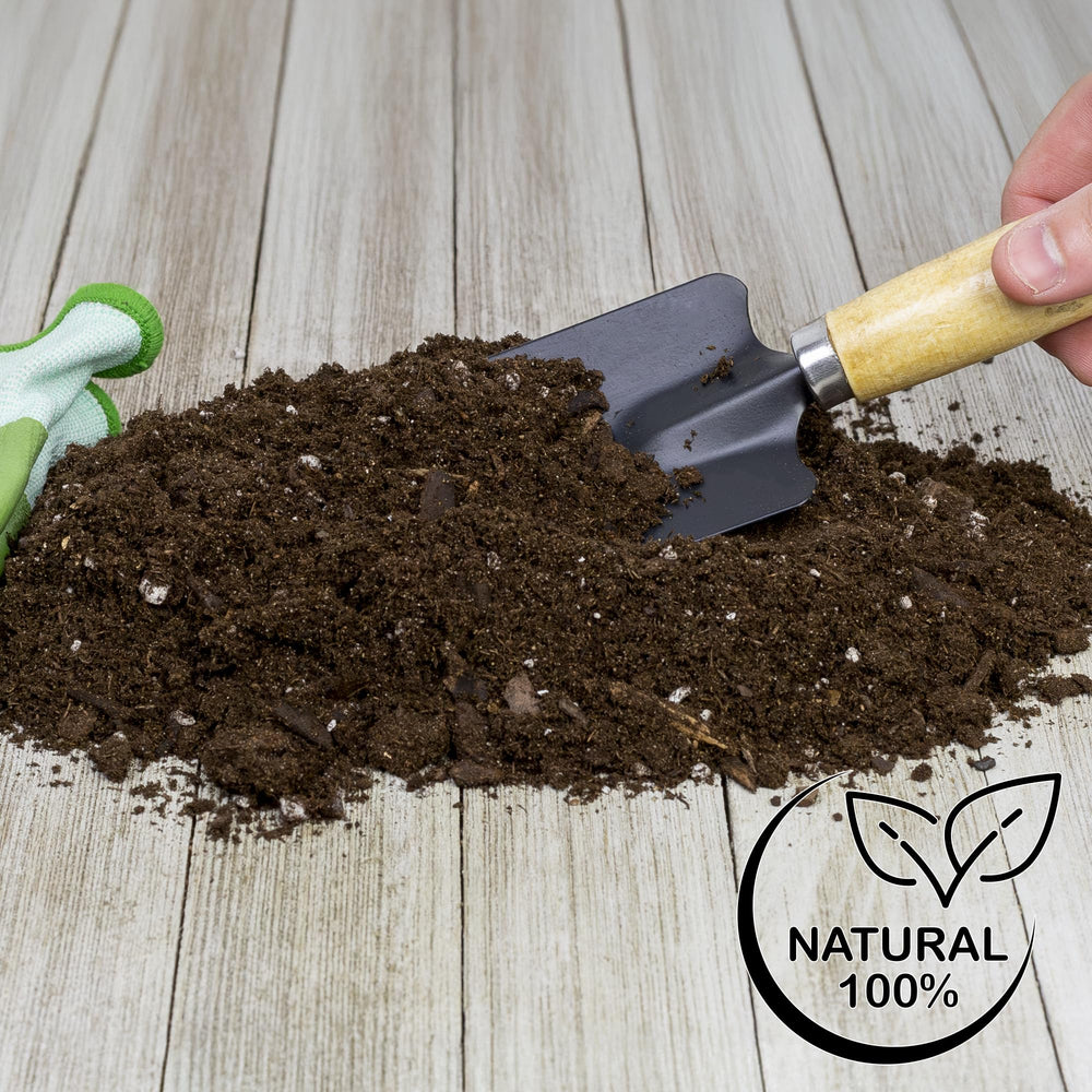 Soil Sunrise on patio with banana plants showing versatile indoor-outdoor use benefit