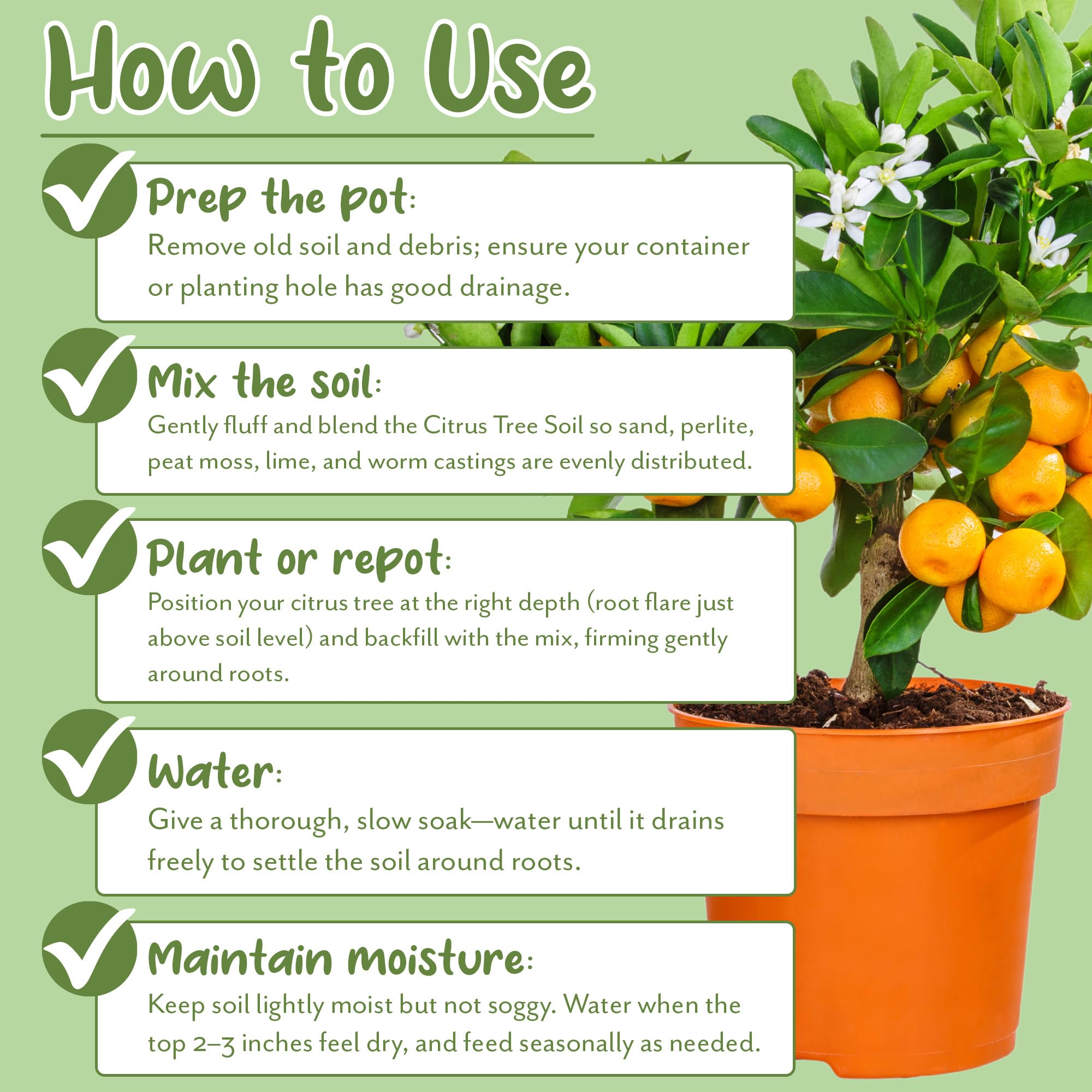 Soil Sunrise used in a potted lemon tree showing thriving foliage benefit