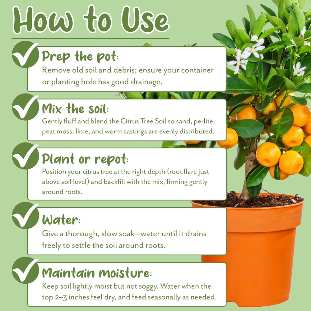Soil Sunrise repotting action with gardener using the mix for quick transplant