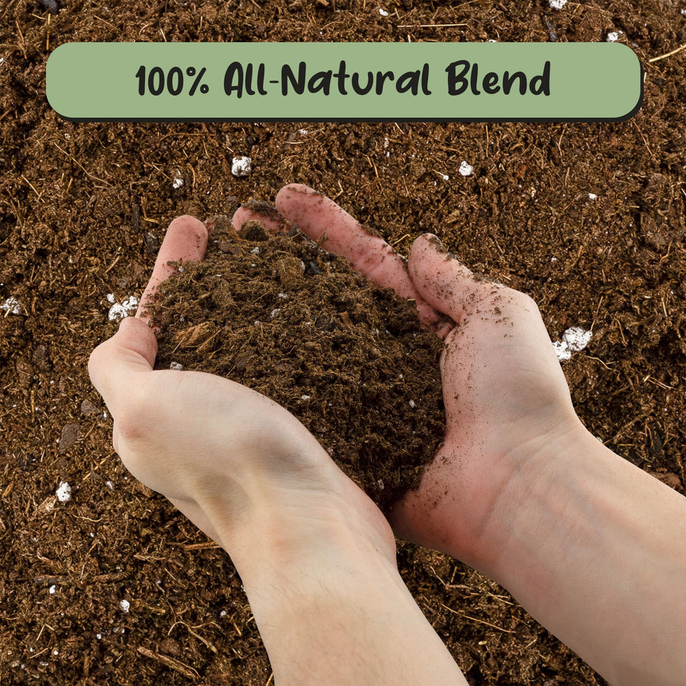 Soil Sunrise closeup texture displaying airy particles that improve aeration