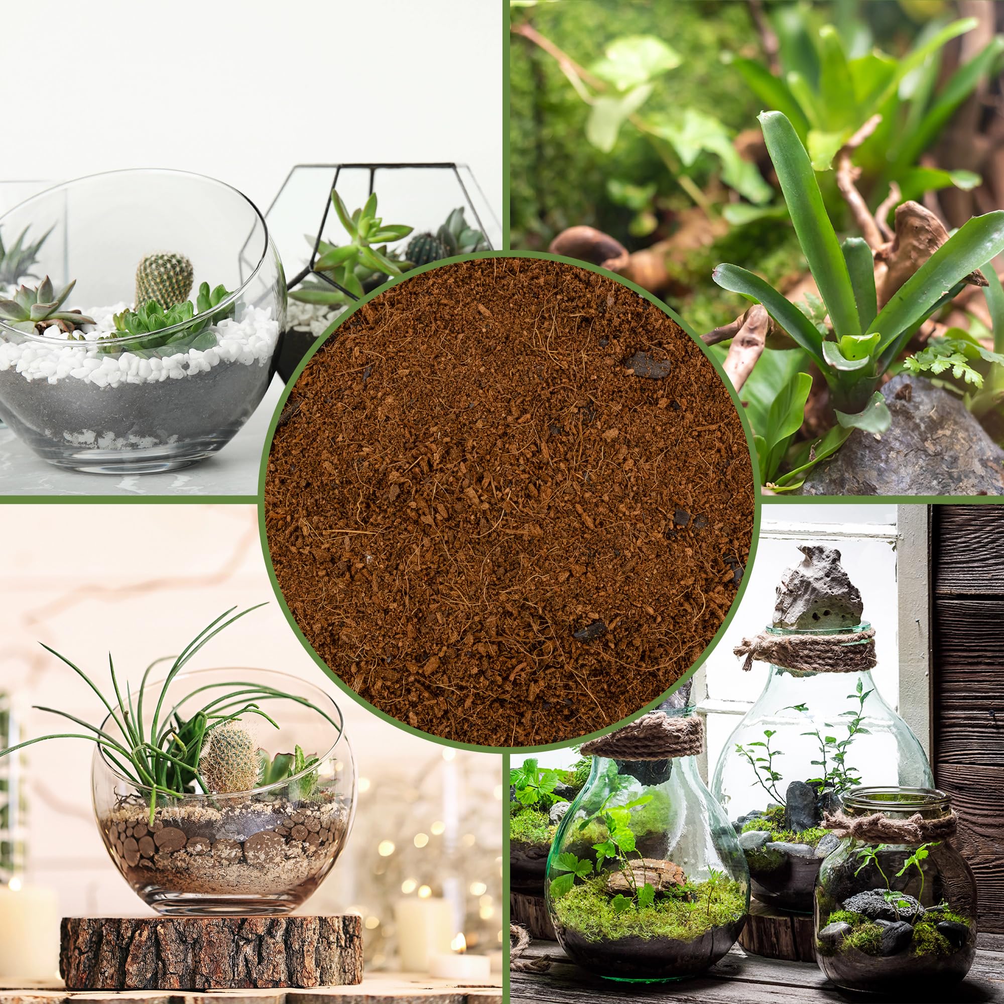 Soil Sunrise used in closed terrarium to maintain balanced humidity