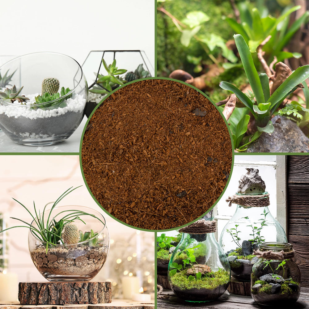 Soil Sunrise used in closed terrarium to maintain balanced humidity