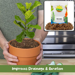 Soil Sunrise aplicado en terrario abierto para acabado natural