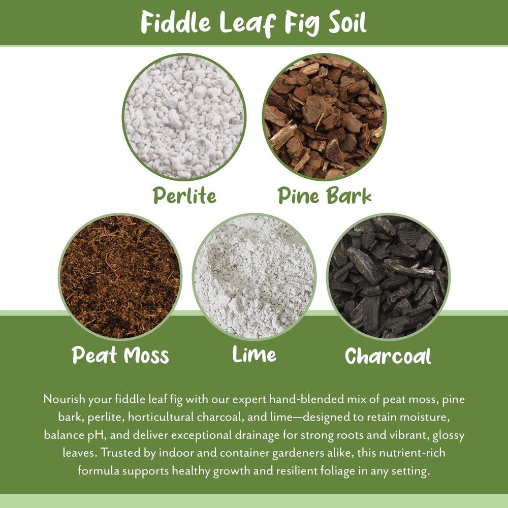 Soil Sunrise pine bark and perlite detail highlighting moisture and aeration
