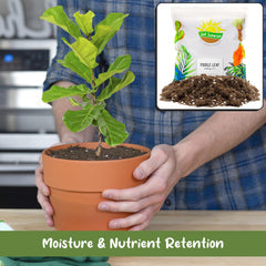 Soil Sunrise poured into a planter demonstrating fast, clean repotting