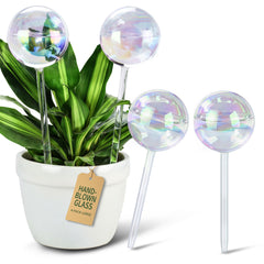 Soilagua front view of globe pack with decorative shimmer benefit