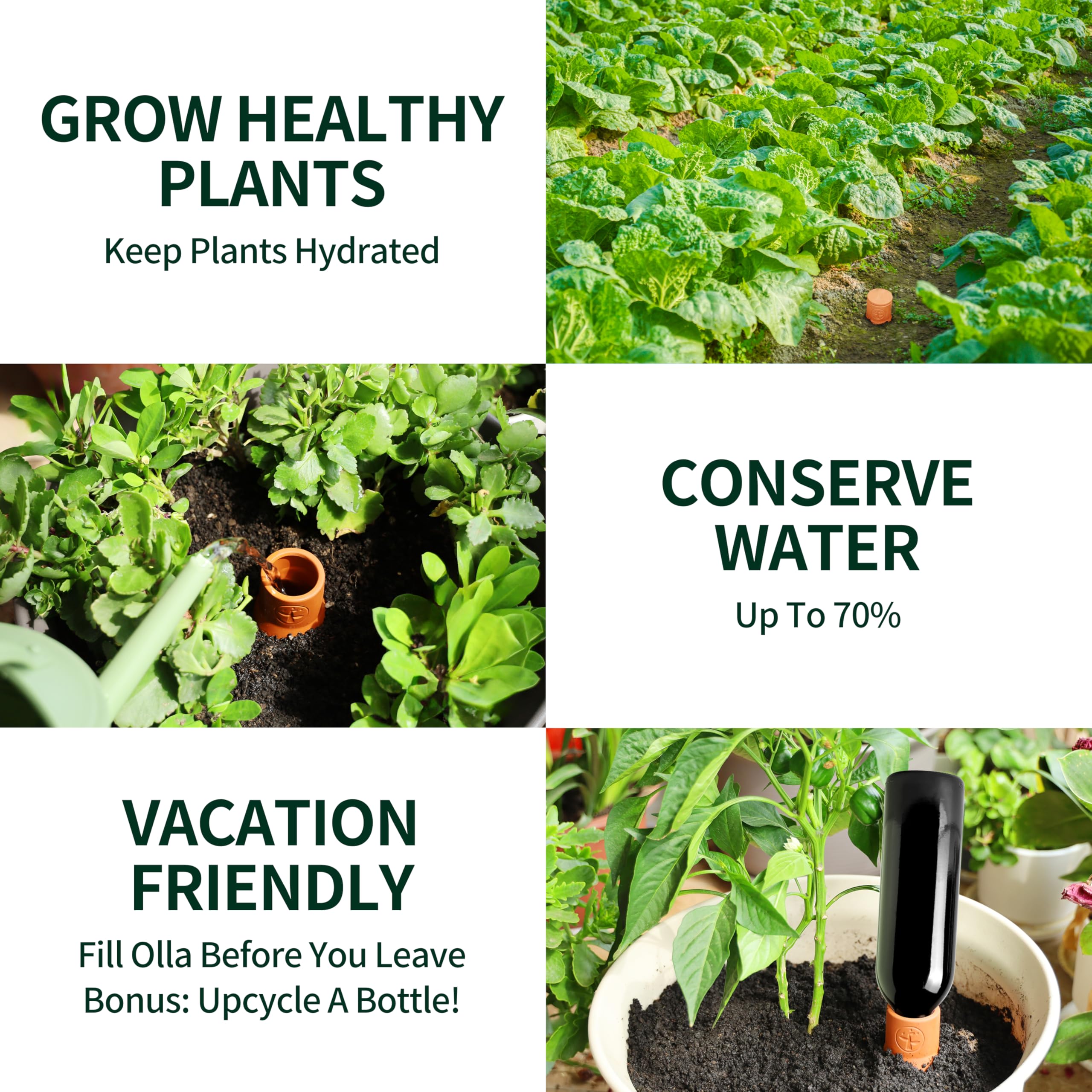 Soilagua in garden setting demonstrating low-maintenance watering benefit
