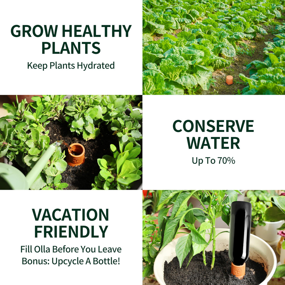 Soilagua in garden setting demonstrating low-maintenance watering benefit