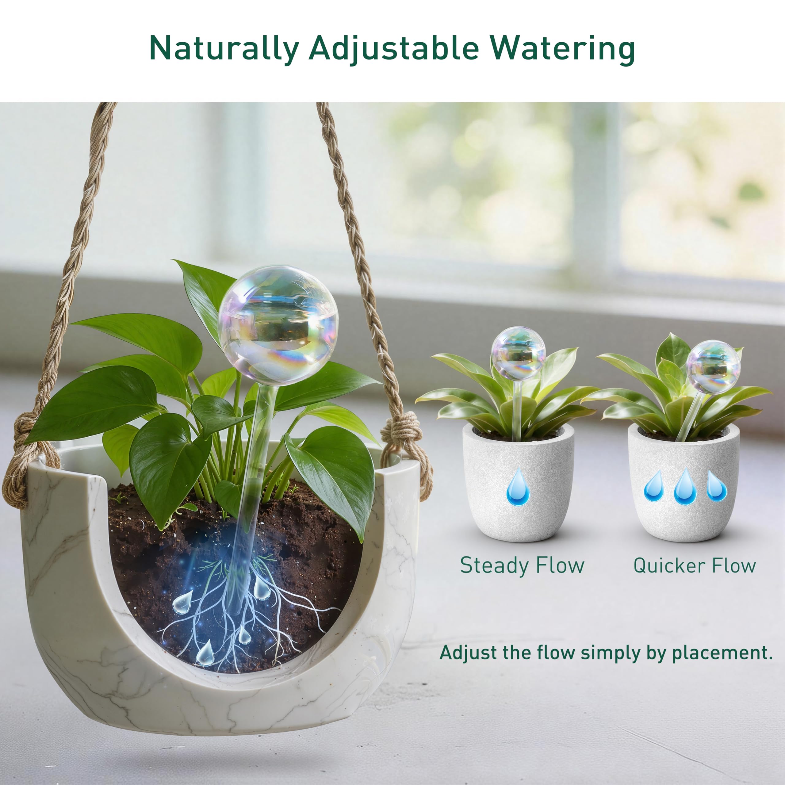 Soilagua globes on windowsill adding color and easy hydration