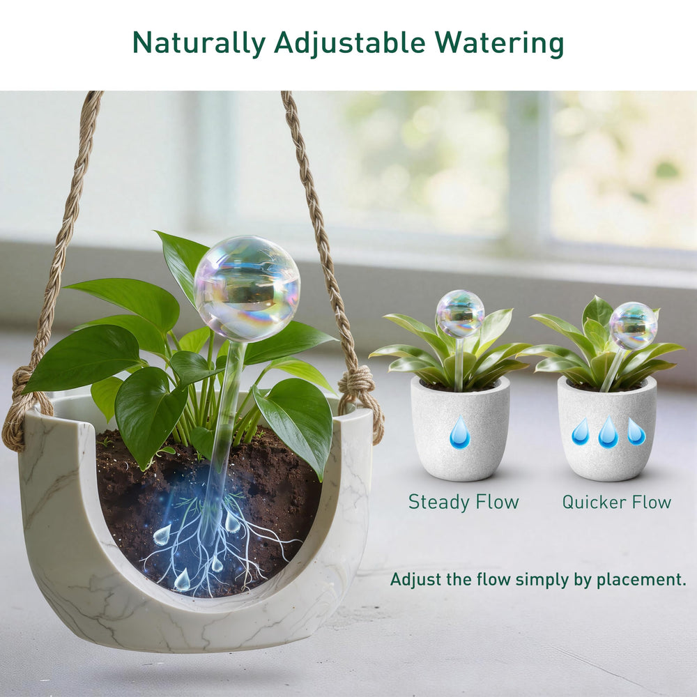 Soilagua globes on windowsill adding color and easy hydration