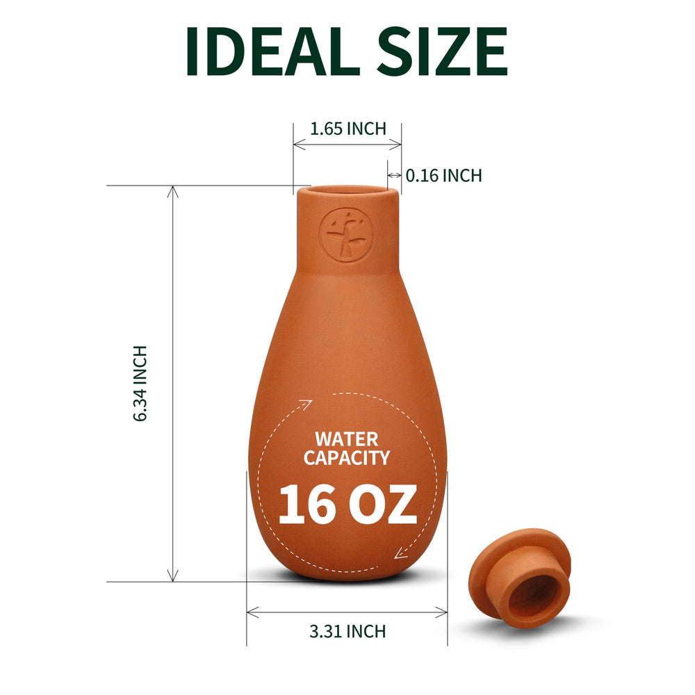 Soilagua installed in plant pot delivering steady root-level hydration