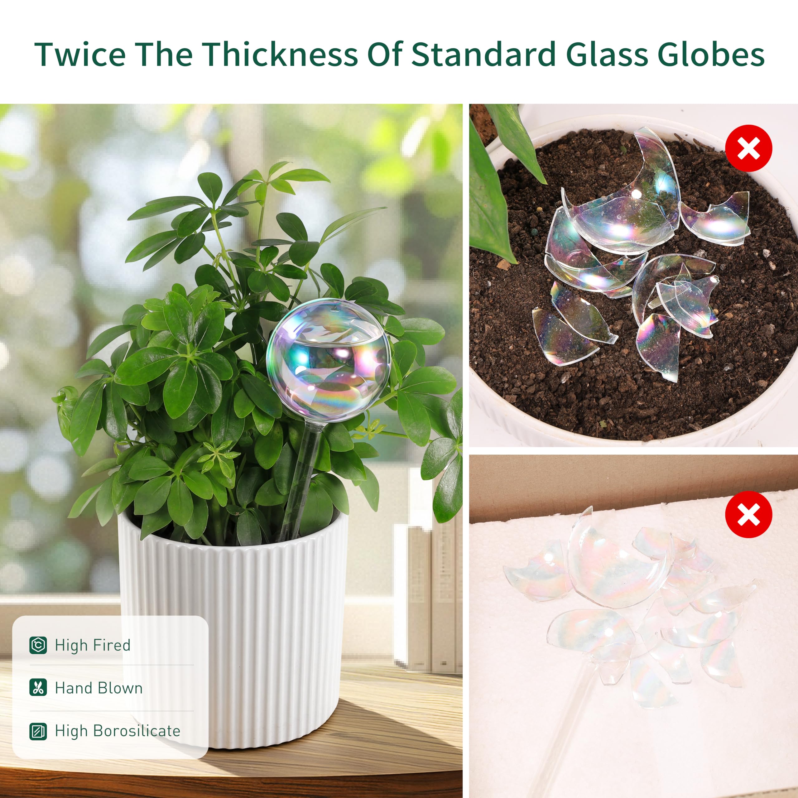 Soilagua globe inserted in pot delivering water to roots