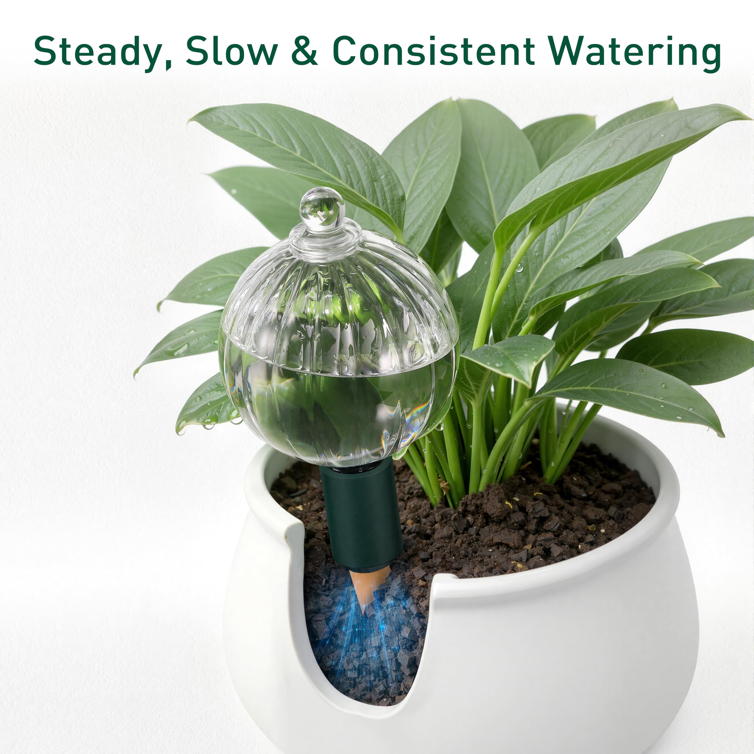 Soilagua materials detail of glass and silicone for durable, secure fit benefit