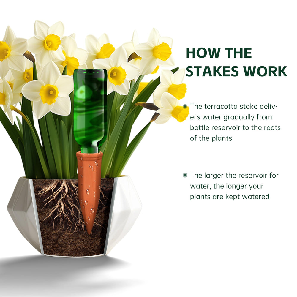 Soilagua spike inserted in pot delivering moisture directly to roots for healthier plants