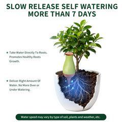 Soilagua stake inserted in plant pot demonstrating root-zone watering benefit