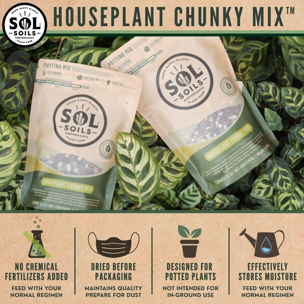 sol soils in pot while planting displaying improved drainage benefits
