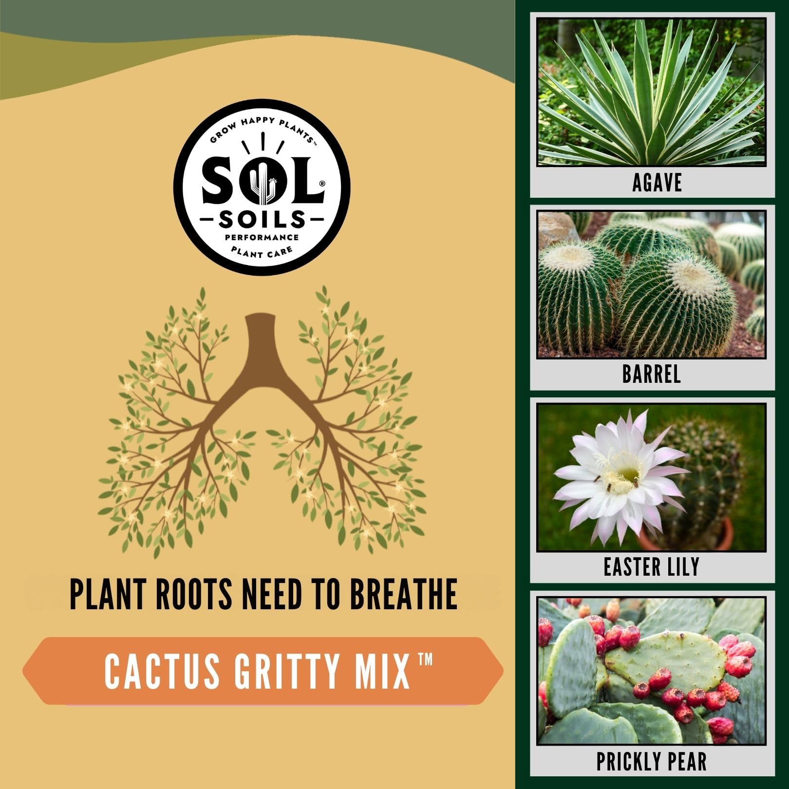 sol soils lifestyle display in bright room showing attractive plants and proper drainage